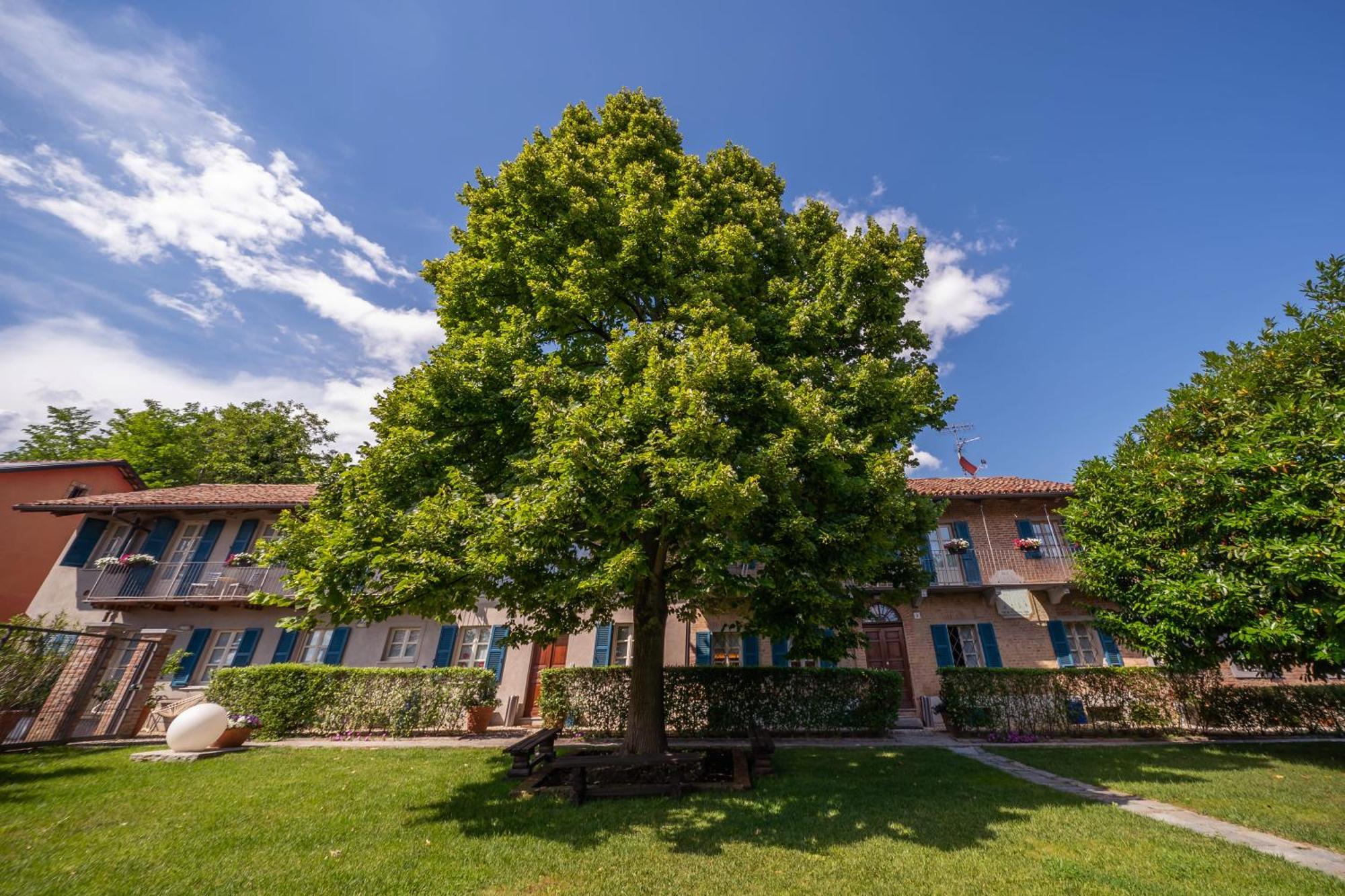 La Madernassa Resort - Casalora Dimora Storica Di Charme Guarene Екстер'єр фото